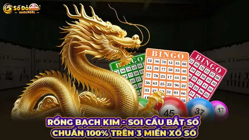 Rồng Bạch Kim - Soi cầu bắt số chuẩn 100% trên 3 miền xổ số